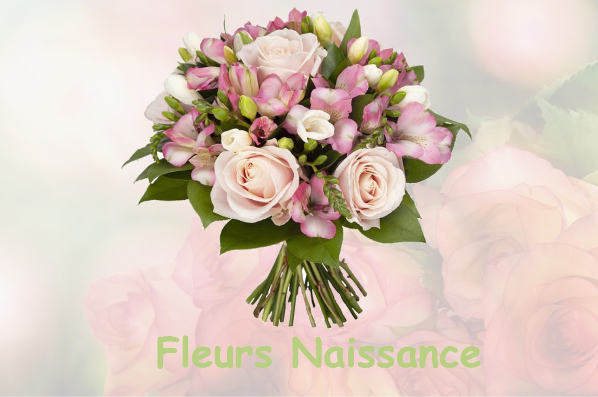 fleurs naissance SAINT-MAURICE-LA-CLOUERE