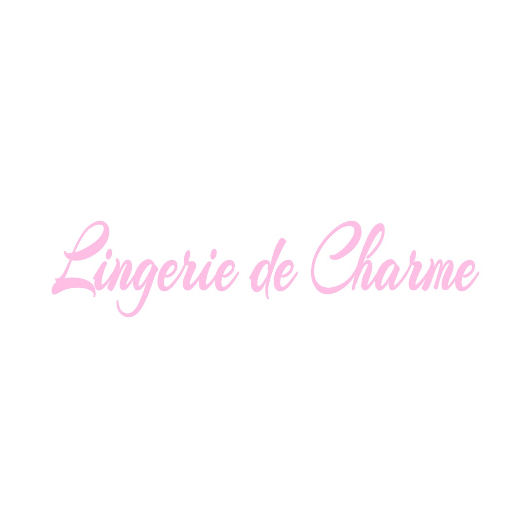 LINGERIE DE CHARME SAINT-MAURICE-LA-CLOUERE